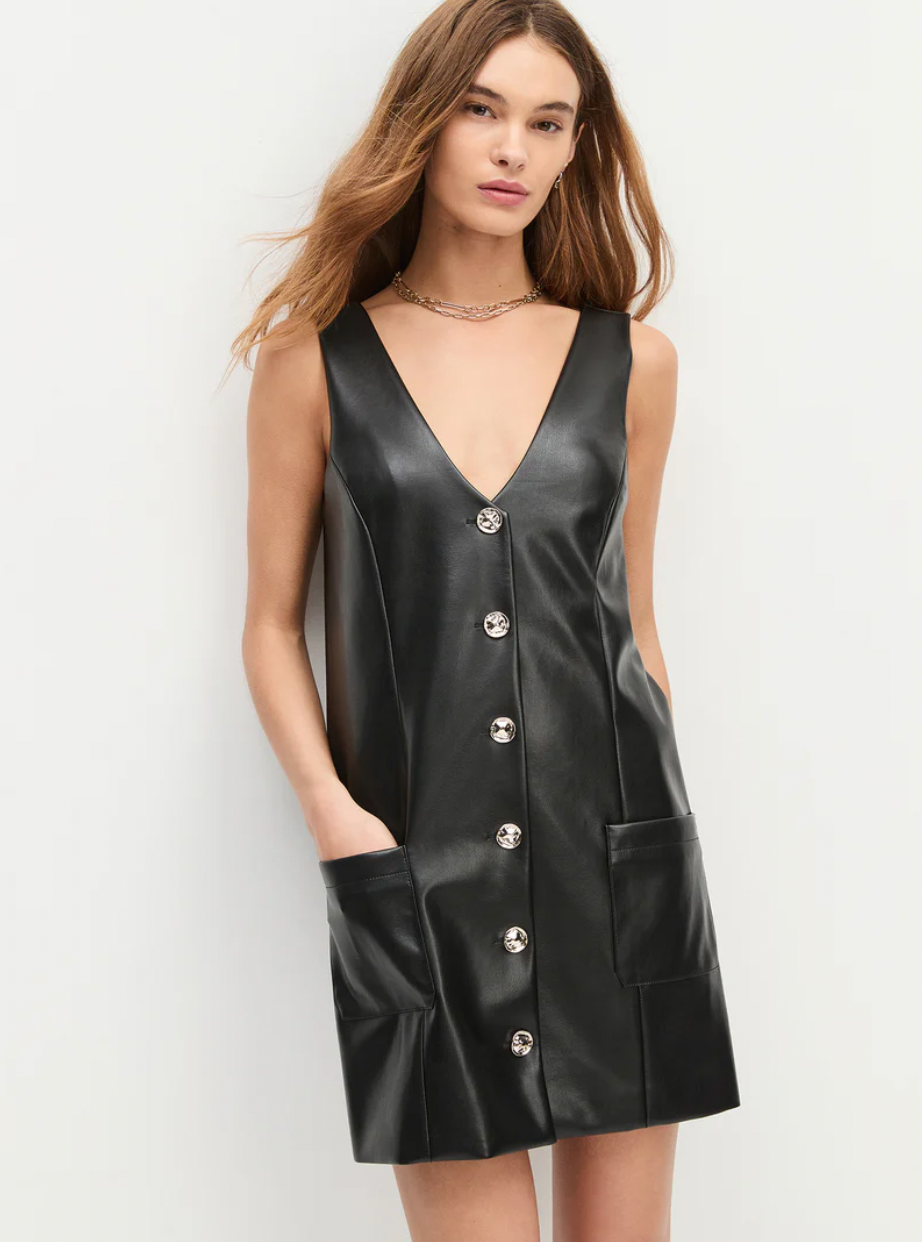 THE SASHA DRESS