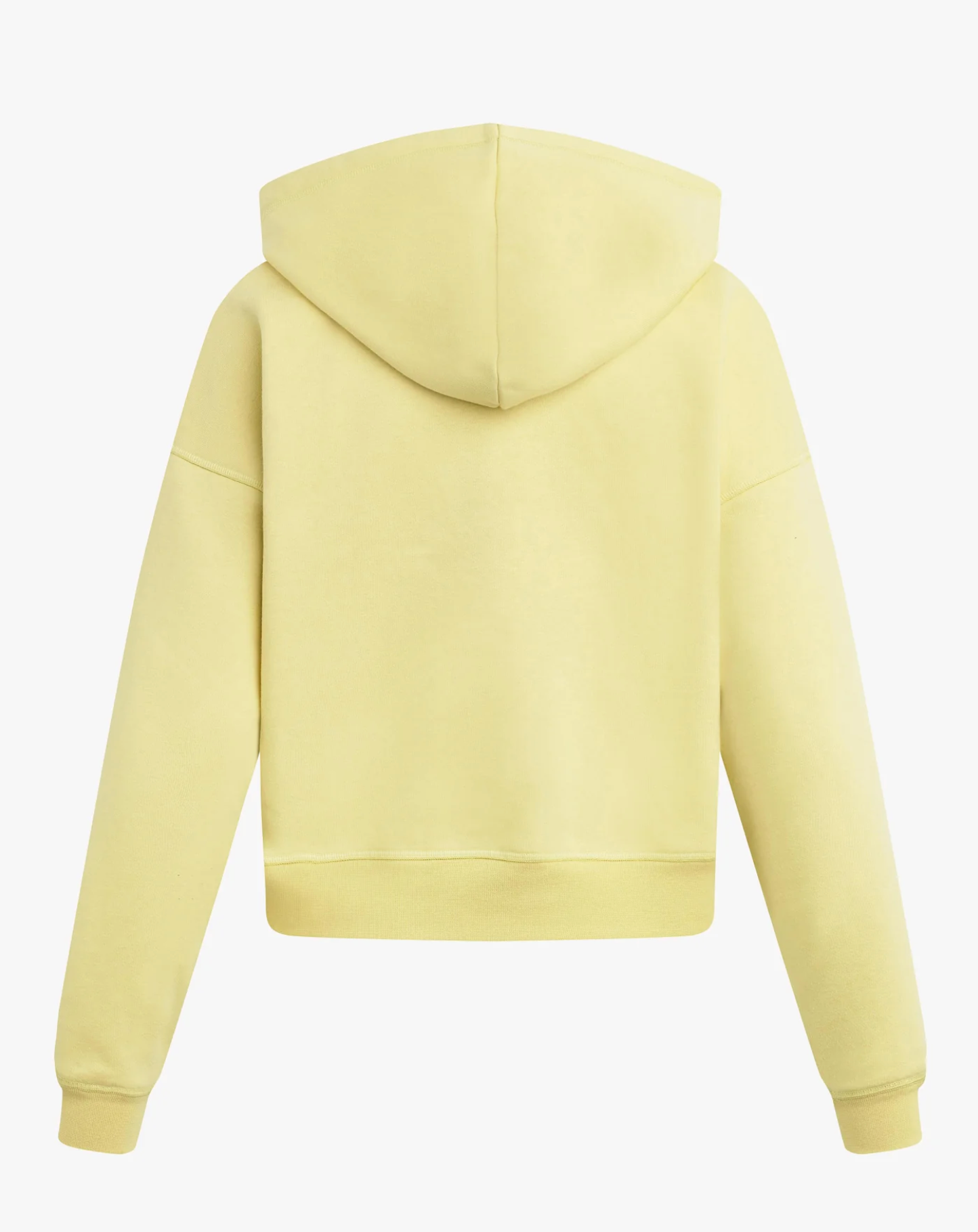 THE COLLEGIATE HOODIE