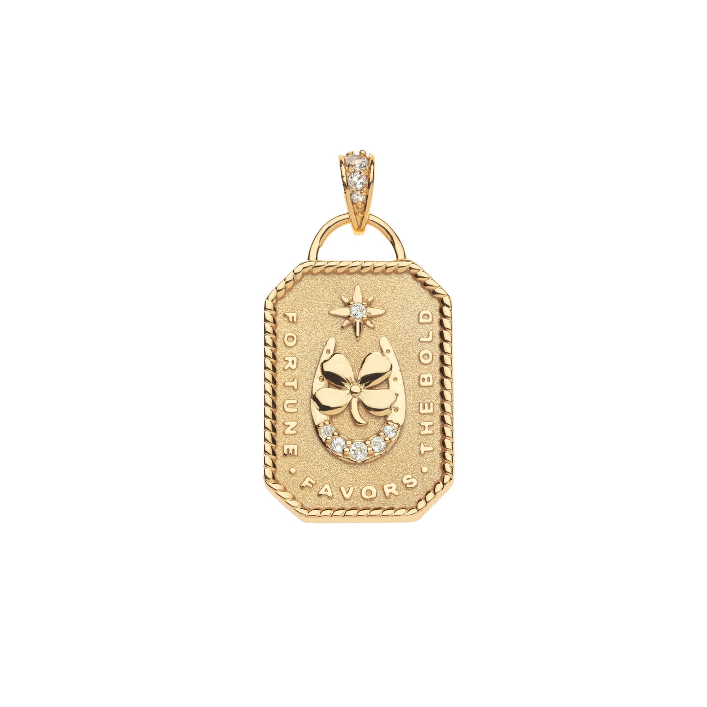 JW LUCKY BOLD AND THE BRAVE DOGTAG PENDANT 16-18" CLASSIC ROLO