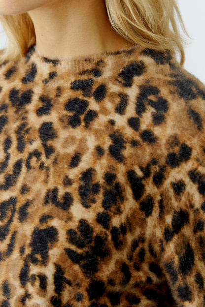 Close-up of a leopard print sweater with a blurred background