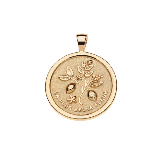 JW GRATITUDE ORIGINAL PENDANT COIN  GOLD 16-18" ROLO CHAIN